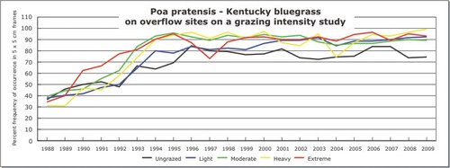 Poa pratensis - Kentucky bluegrass
