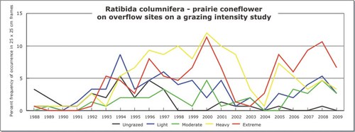 Ratibida columnifera - prairie coneflower
