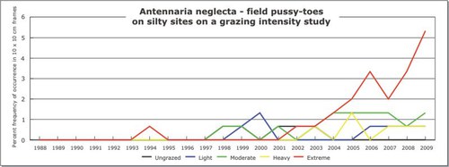 Antennaria neglecta - field pussy-toes