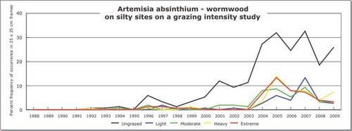 Artemisia absinthium - wormwood