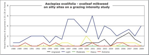 Asclepias ovalifolia - ovalleaf milkweed
