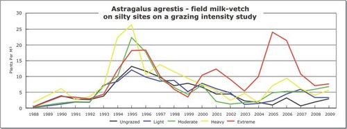 Astragalus agrestis - field milk-vetch