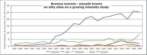 Bromus inermis - smooth brome