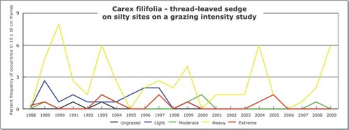 Carex filifolia - thread-leaved sedge