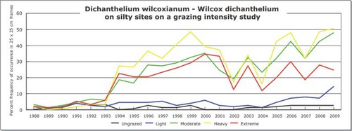 Dichanthelium wilcoxianum - Wilcox dichanthelium
