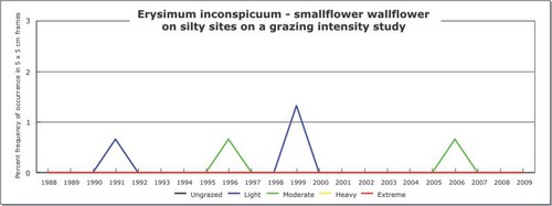 Erysimum inconspicuum - smallflower wallflower
