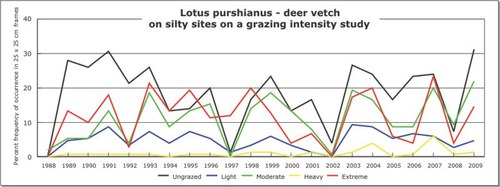 Lotus purshianus - deer vetch