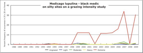 Medicago lupulina - black medic