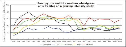Pascopyrum smithii - western wheatgrass
