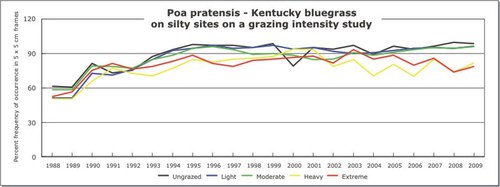 Poa pratensis - Kentucky bluegrass