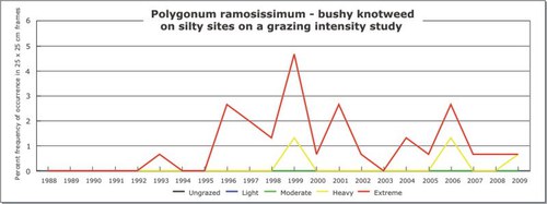 Polygonum ramosissimum - bushy knotweed
