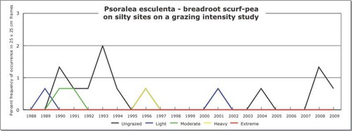 Psoralea esculenta - breadroot scurf-pea