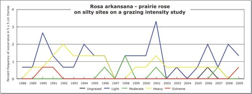 Rosa arkansana - prairie rose