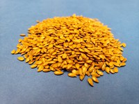 Flax
