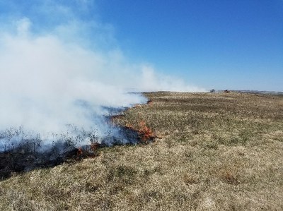 Prescribed burn