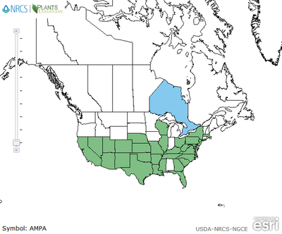 Map of Palmer amaranth