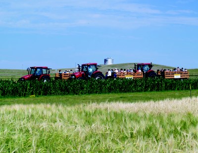 ag-1
