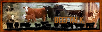Beeftalk