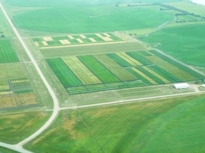 Nesson Valley aerial view
