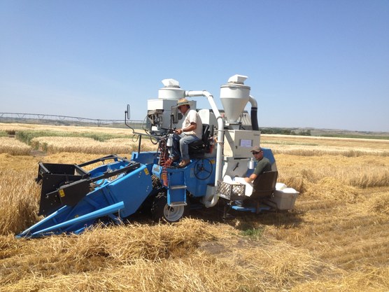 Irrigation 1