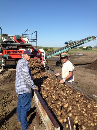 Irrigation 3