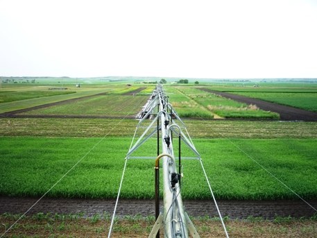 Linear Irrigator at Nesson Valley