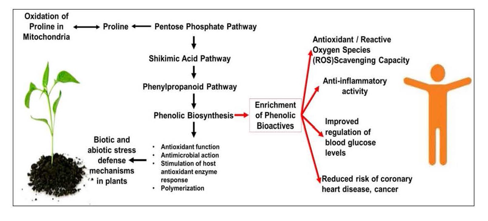 Redox-linked improvement of climate resilience and food crops for health