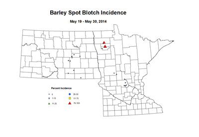 5 19 5 30 Barley SB Inc