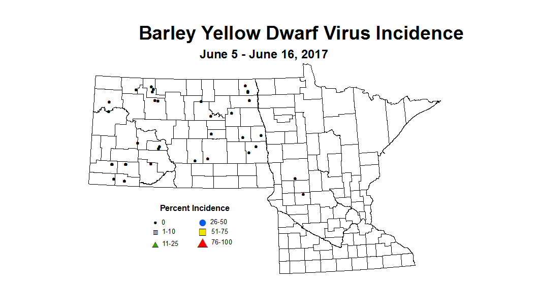 barley BYDVI 6 5 6 16