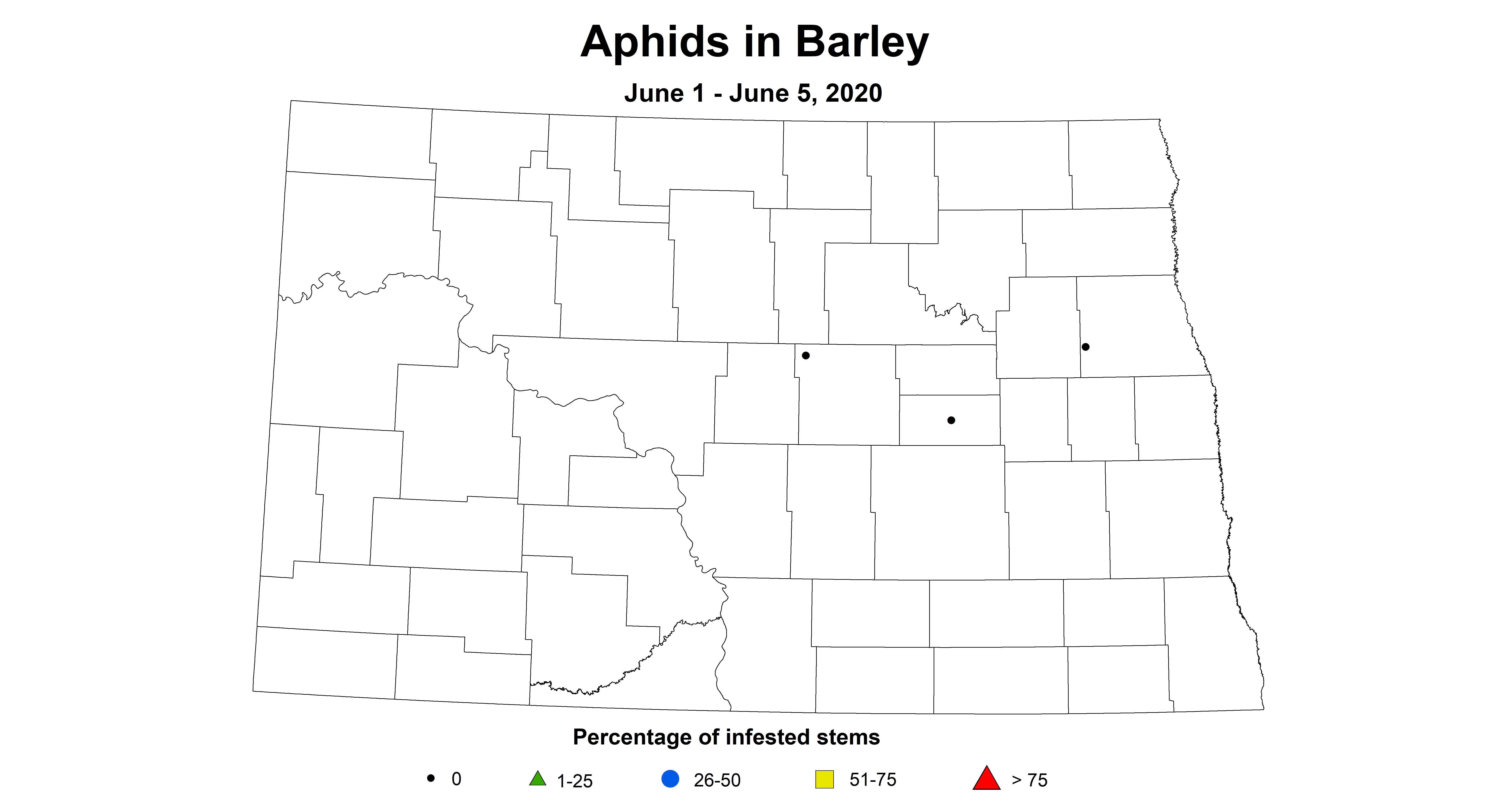 aphids