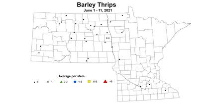 BarleyThrips6.1 6.11