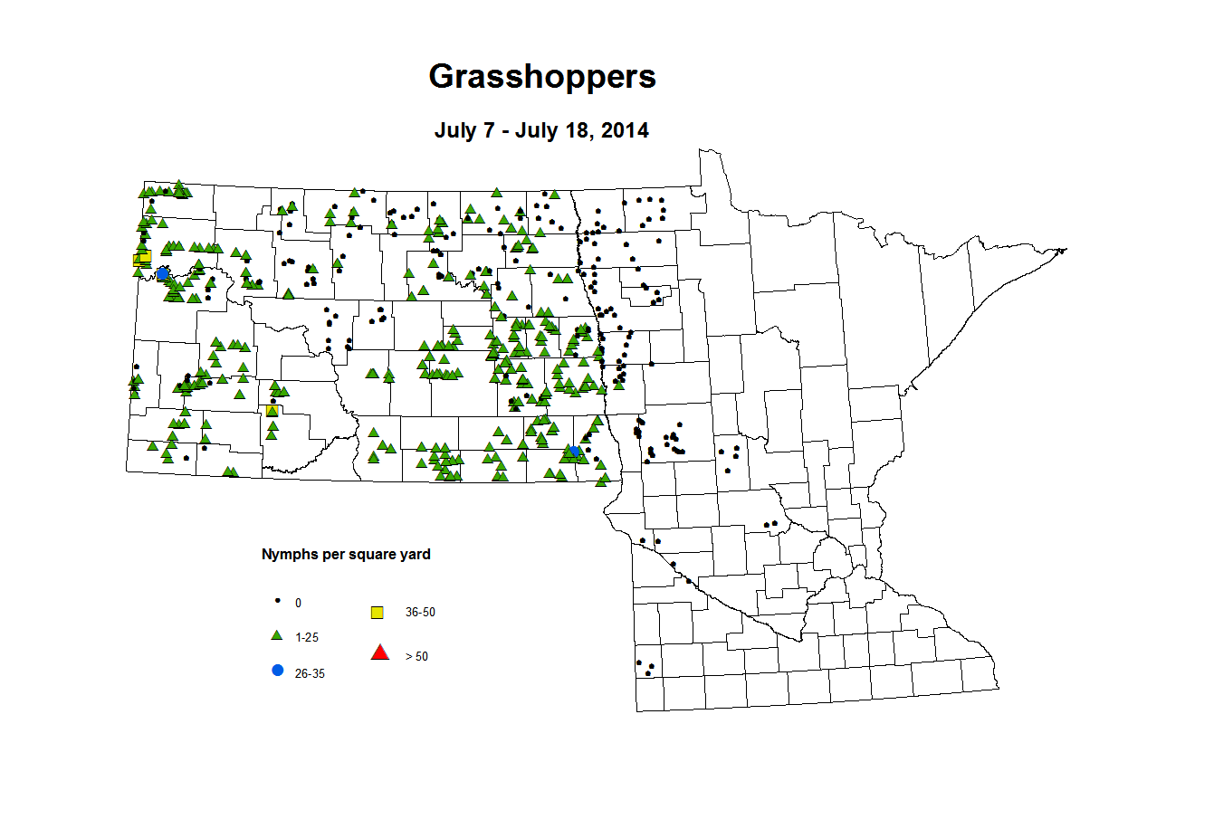 7 7 7 18 Grasshopper Nymphs
