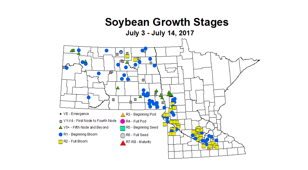 soybean zgs 7 3 7 14 2017