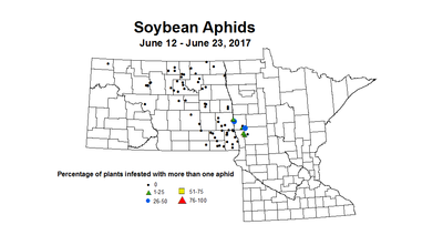 soybean AphidsINC 2017 6 12 6 23