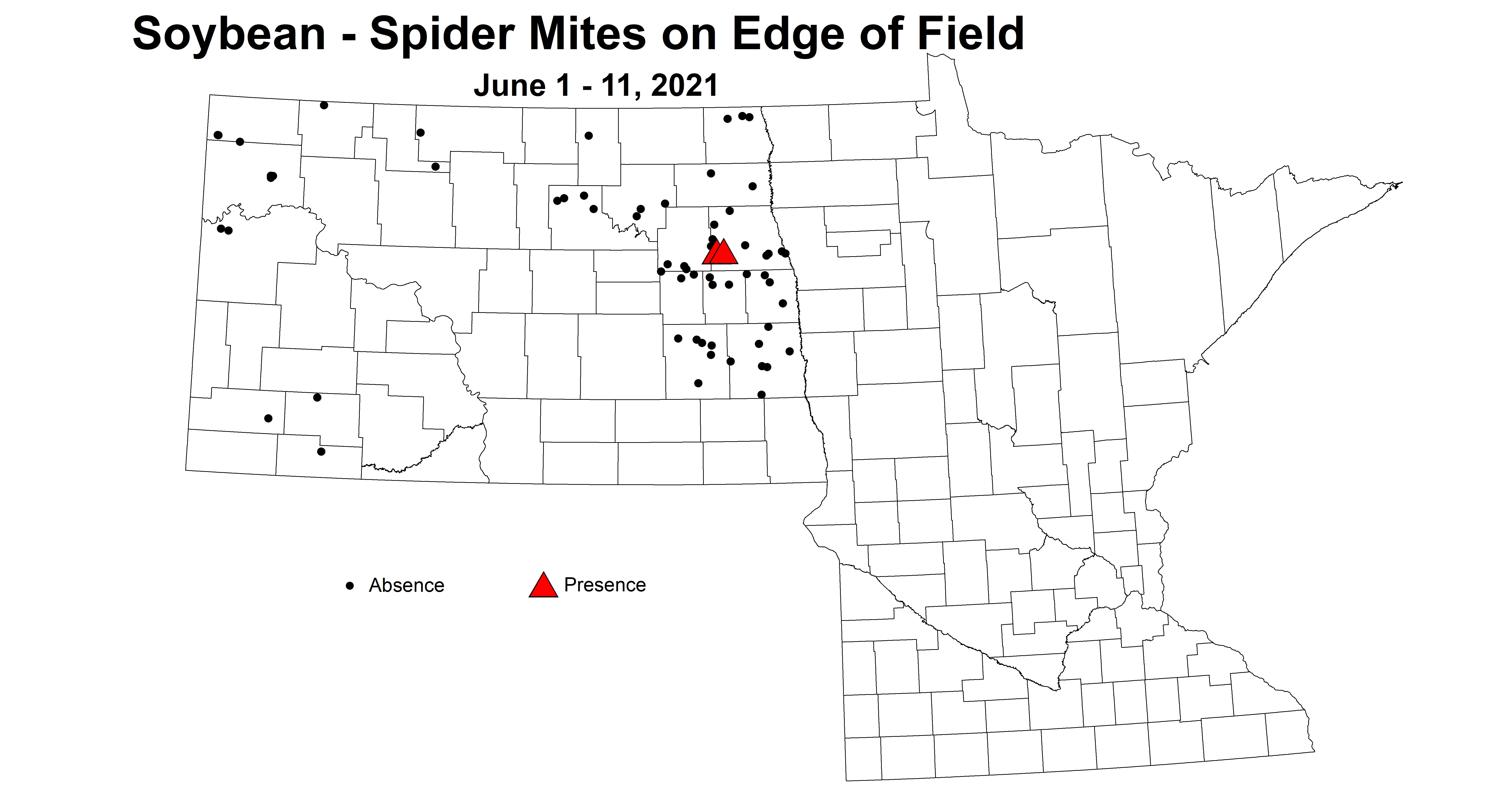 soybeanSpiderMitesOnEdge6.1 6.11
