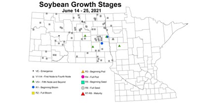 soybeanGrowthStage 6.14 6.25