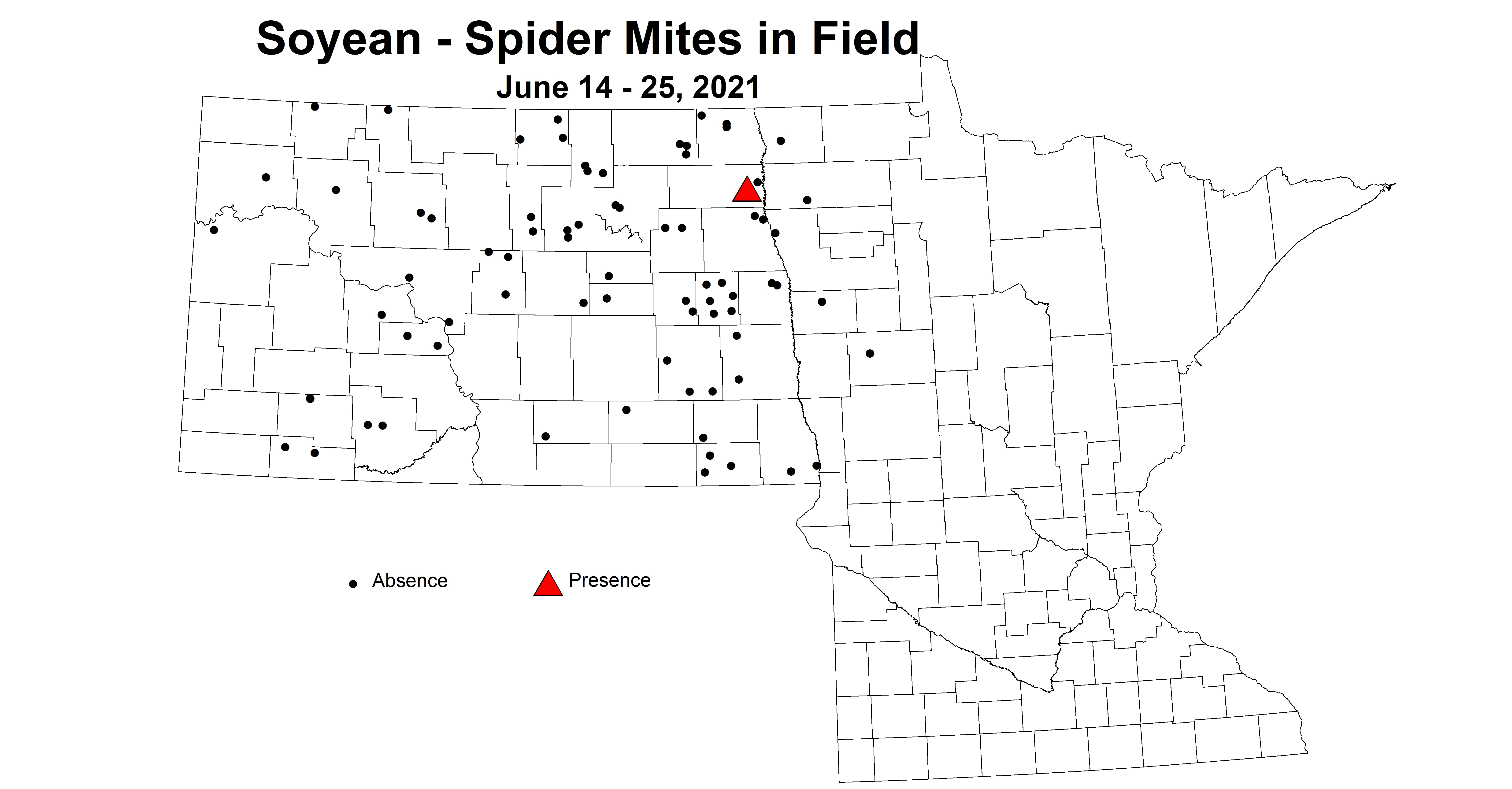 soybeanSpiderMitesInField 6.14 6.25