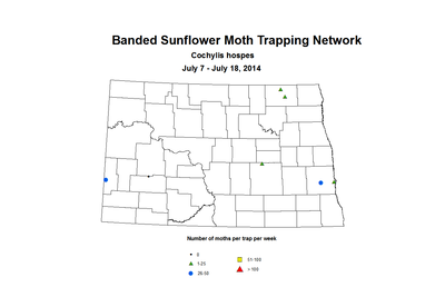 7 7 7 18 SunflowerTrap BSMTN