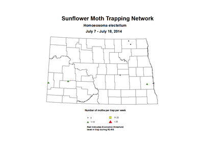 7 7 7 18 SunflowerTrap SMTN