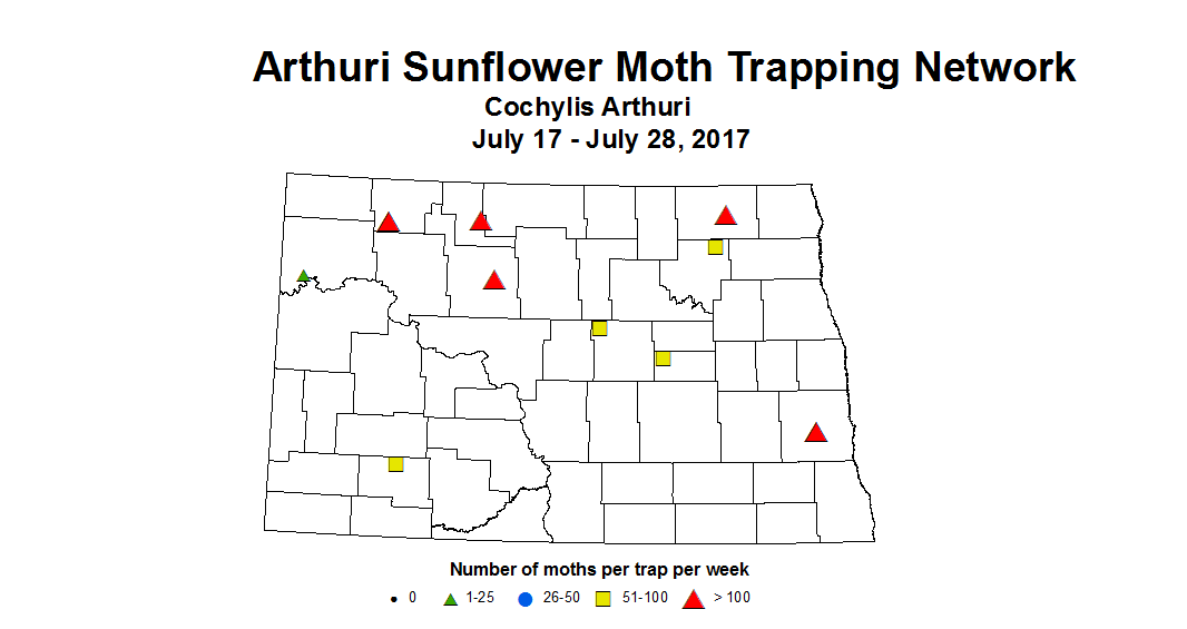 sunflowerInsecttrap arthuri 7 17 7 28 2017