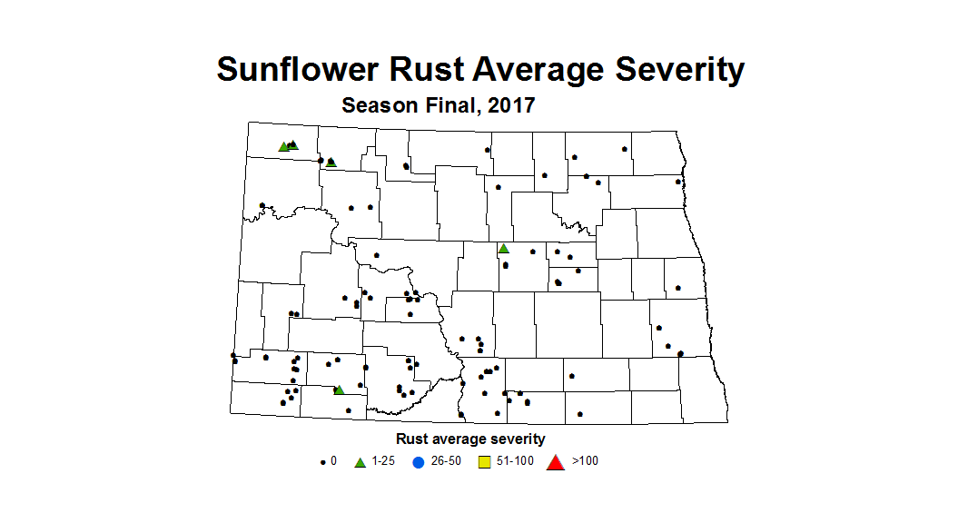 sunflower rustSeverity season 2017