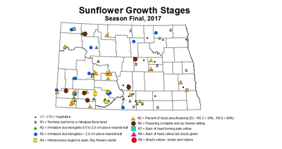 sunflower zgs season 2017