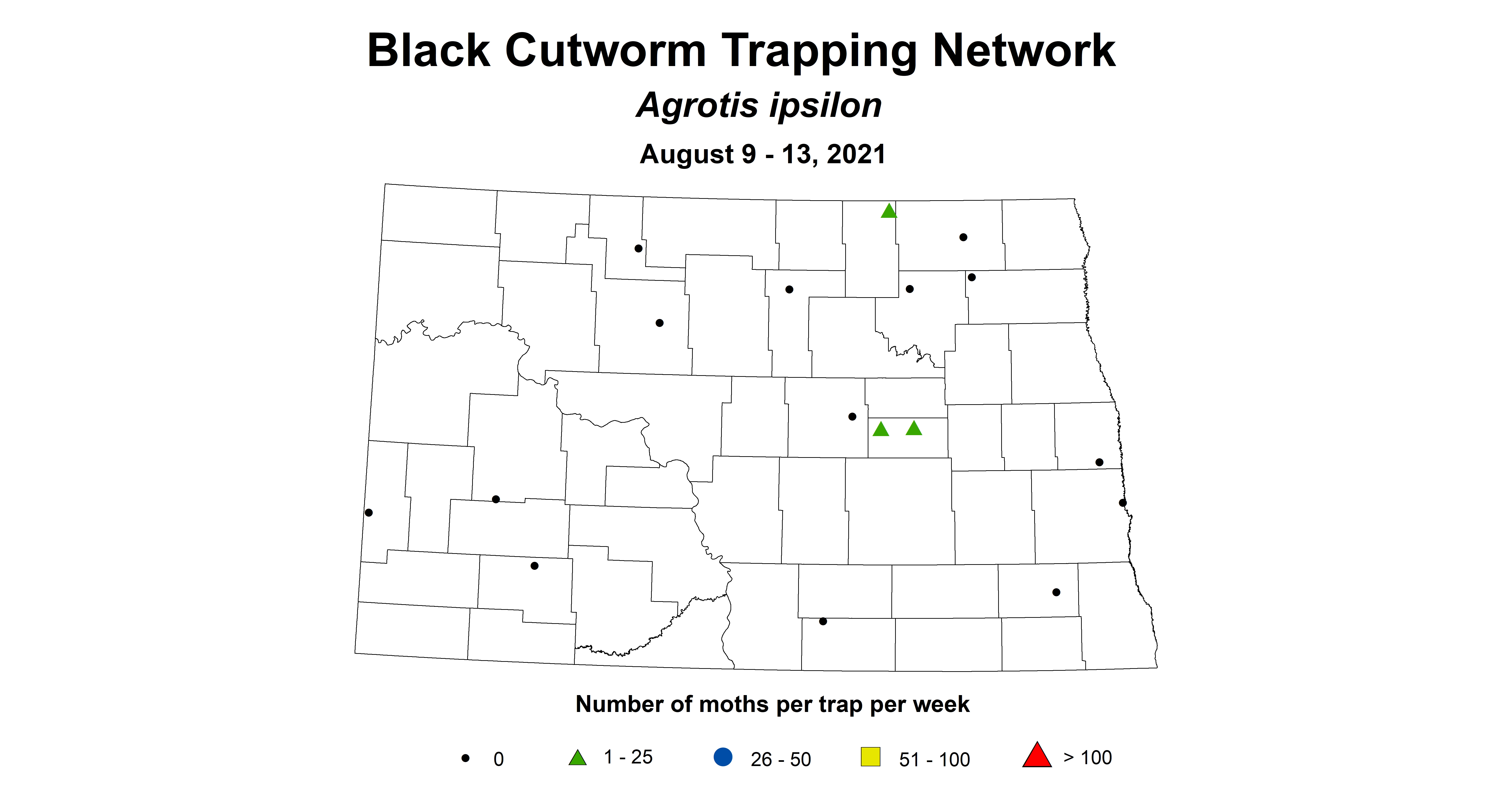blackcutworm