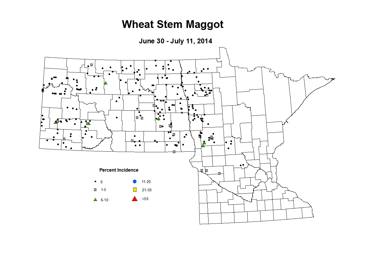 6 30 7 11 Wheat WS Maggot