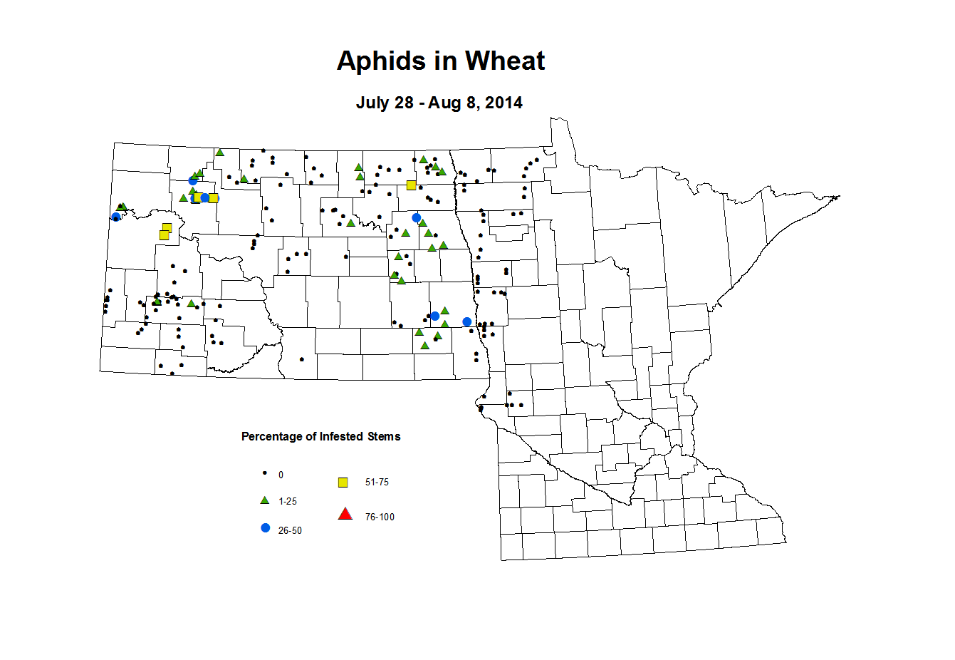 7 28 8 8 Wheat Aphid Tillers