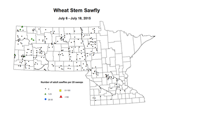 7 6 7 18 Wheat Stem Sawfly