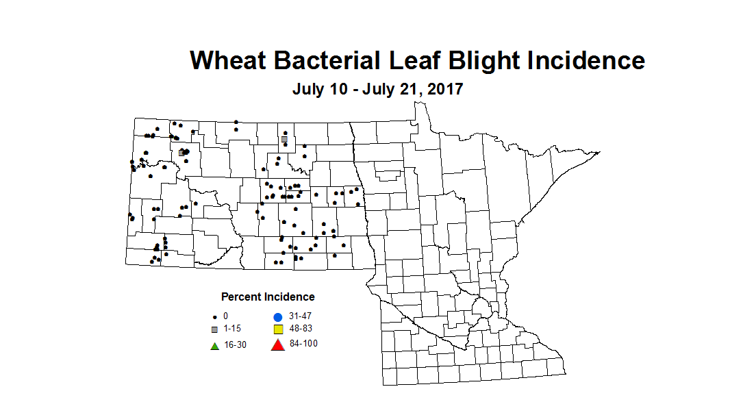 wheat blbi 7 10 7 21 2017