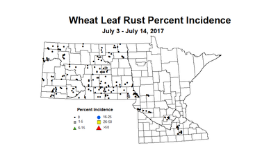 wheat LRI 7 3 7 14 2017