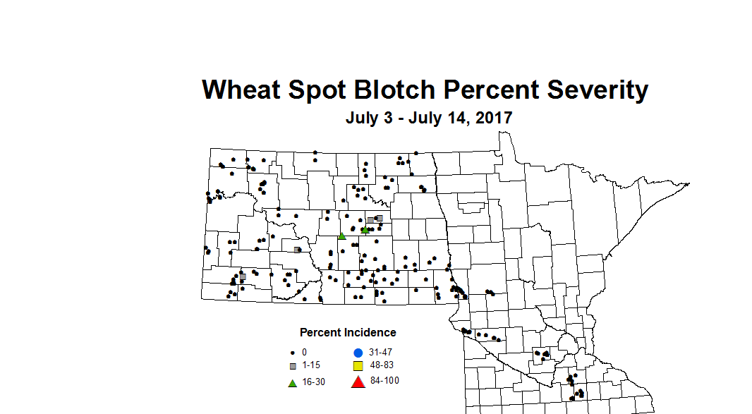 wheat SBSV 7 3 7 14 2017