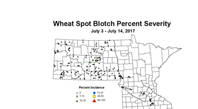 wheat SBSV 7 3 7 14 2017